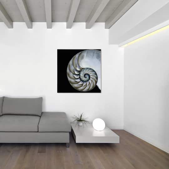 Empire Art Direct 36" x 36" Pearly Nautilus Free Floating Tempered Glass Wall Art